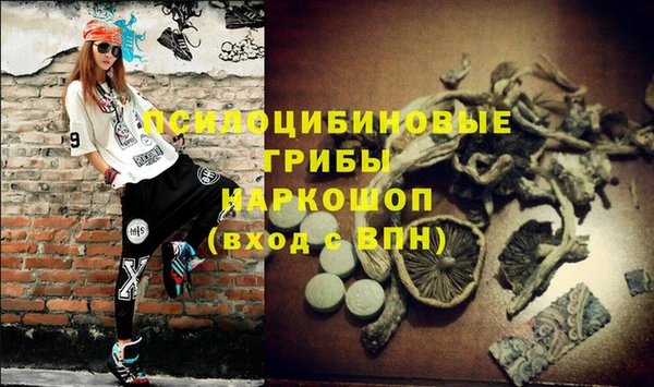 мяу мяу мука Нефтегорск