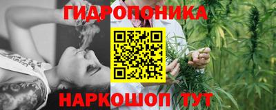 бошки Аргун