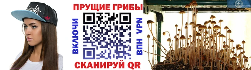 Галлюциногенные грибы мухоморы  Архангельск 