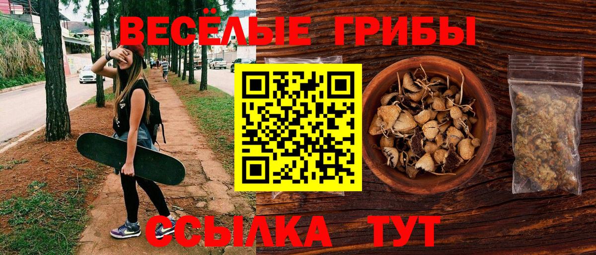 Псилоцибиновые грибы мухоморы  Галлюциногенные грибы GOLDEN TEACHER  Архангельск 