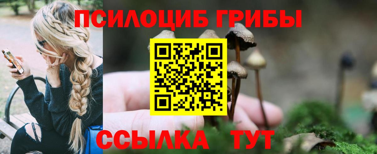 Псилоцибиновые грибы GOLDEN TEACHER  Галлюциногенные грибы GOLDEN TEACHER  Вход с VPN  Архангельск 